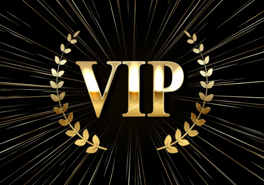 Camille VIP buyers for clothes , shoes , bags and as you wnat