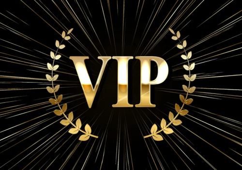 Camille VIP buyers for clothes , shoes , bags and as you wnat